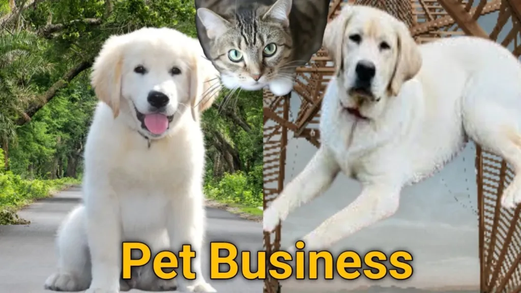 How to Start a Pet Business: A Complete Step-by-Step Guide,pet business, dogs, puppy care, puppy,
