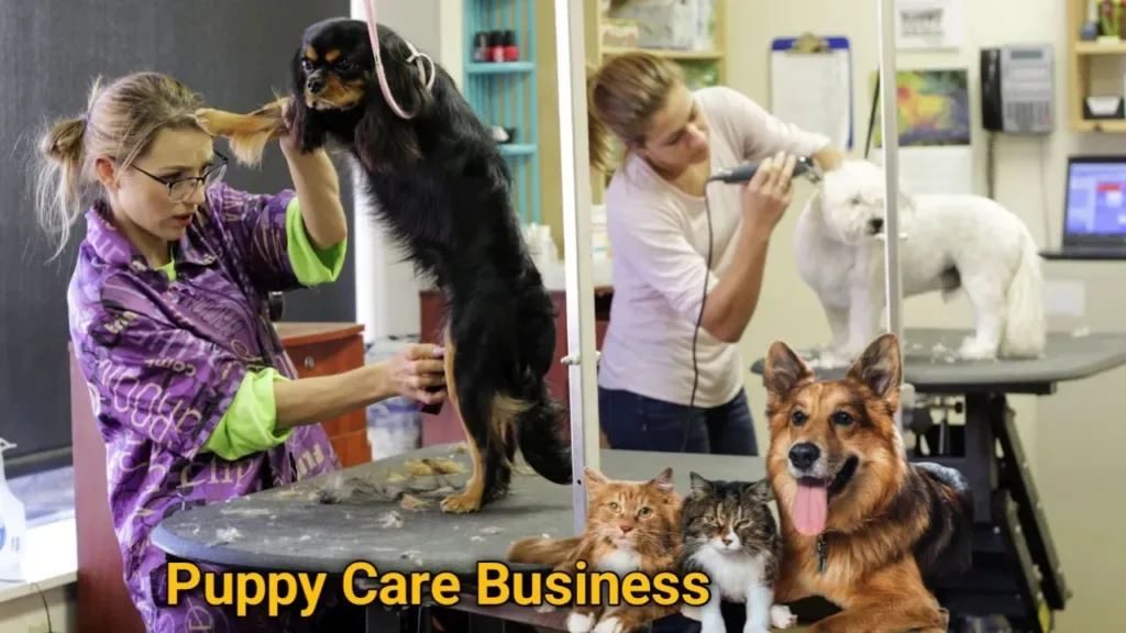 Puppy Care Business, puppy care,dogs care,dog business,