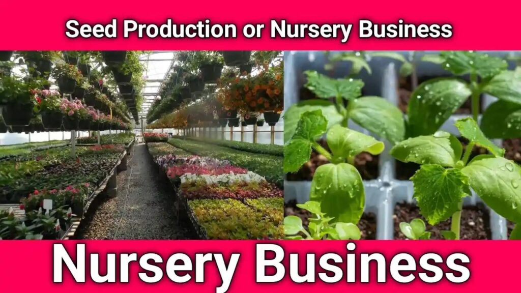 Seed Production or Nursery Business, Nursery Business,seeds productions, Business ideas,